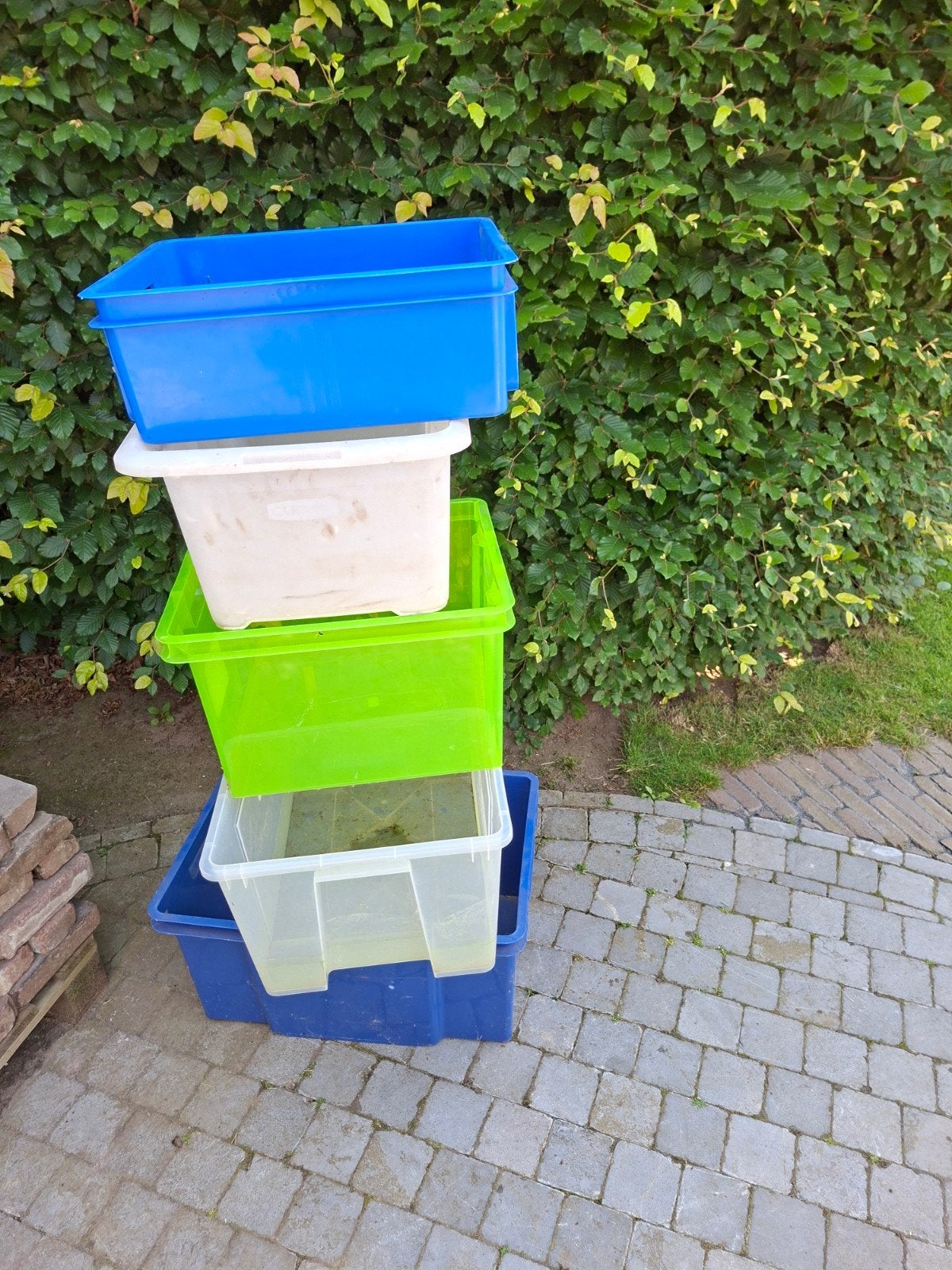 5 plastiek bakken in 1 lot, Doe-het-zelf en Bouw, Kratten en Dozen, Ophalen