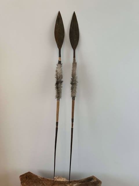 Afrikaanse Werp speer duo, Ophalen
