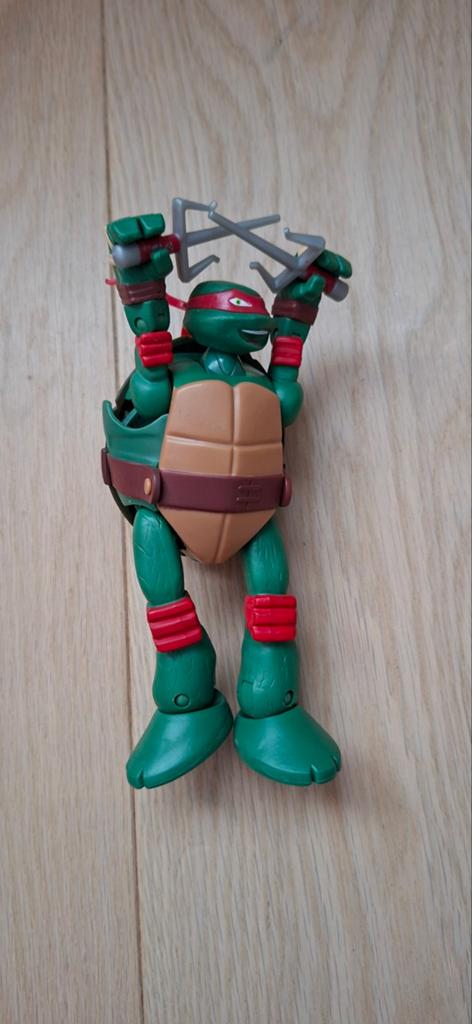 Ninja turtle, Enlèvement