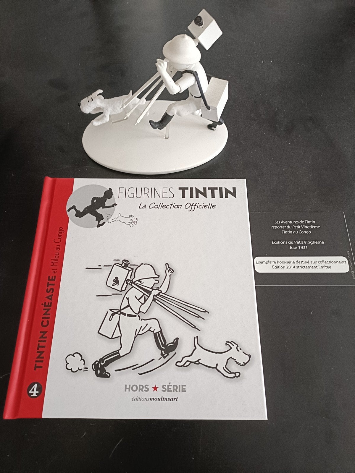 personnage Tintin, noir et blanc, Collections, Personnages de BD, Enlèvement ou Envoi, Tintin