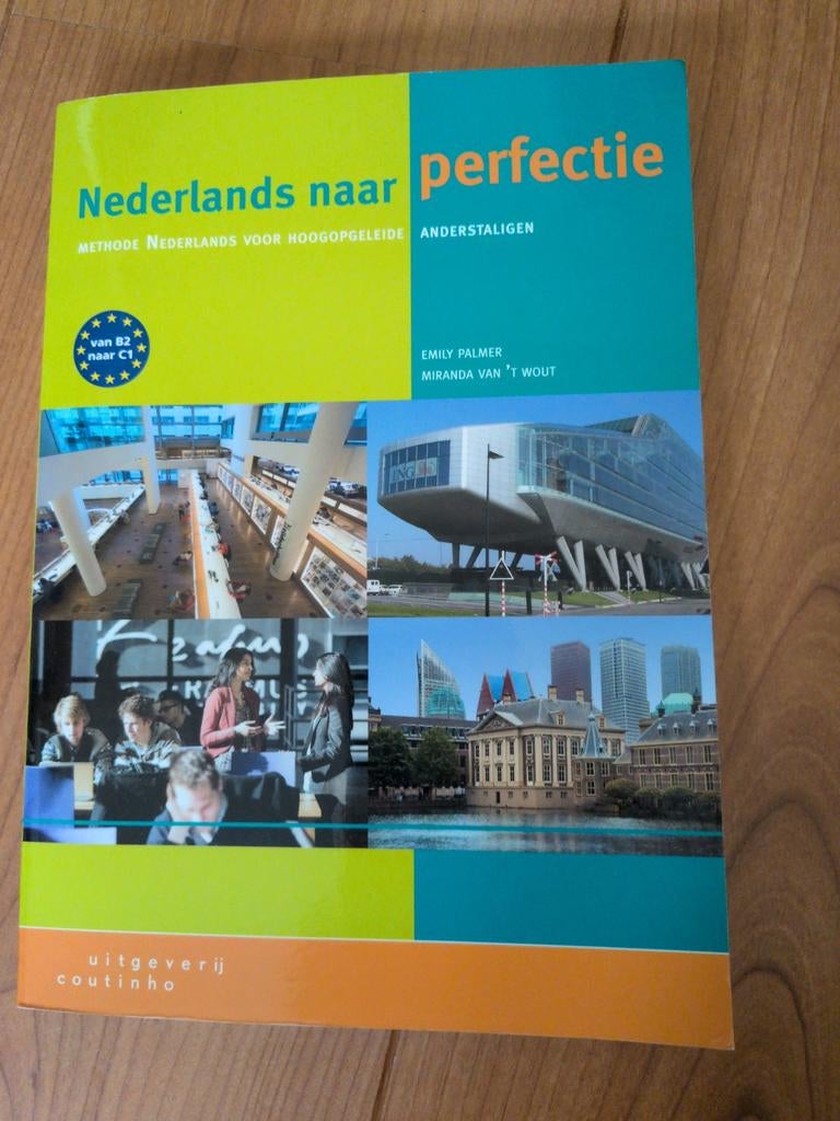Emily Palmer - Nederlands naar perfectie, Livres, Enlèvement, Emily Palmer; Miranda van ‘t Wout