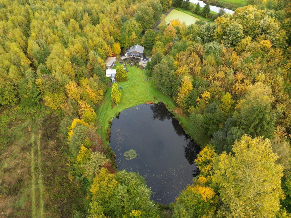 chalet met bos grond en vijfer  in de ardennen bertrix, Vakantie, Vakantiehuizen | België, 2 slaapkamers, Tuin, Landelijk, In bos