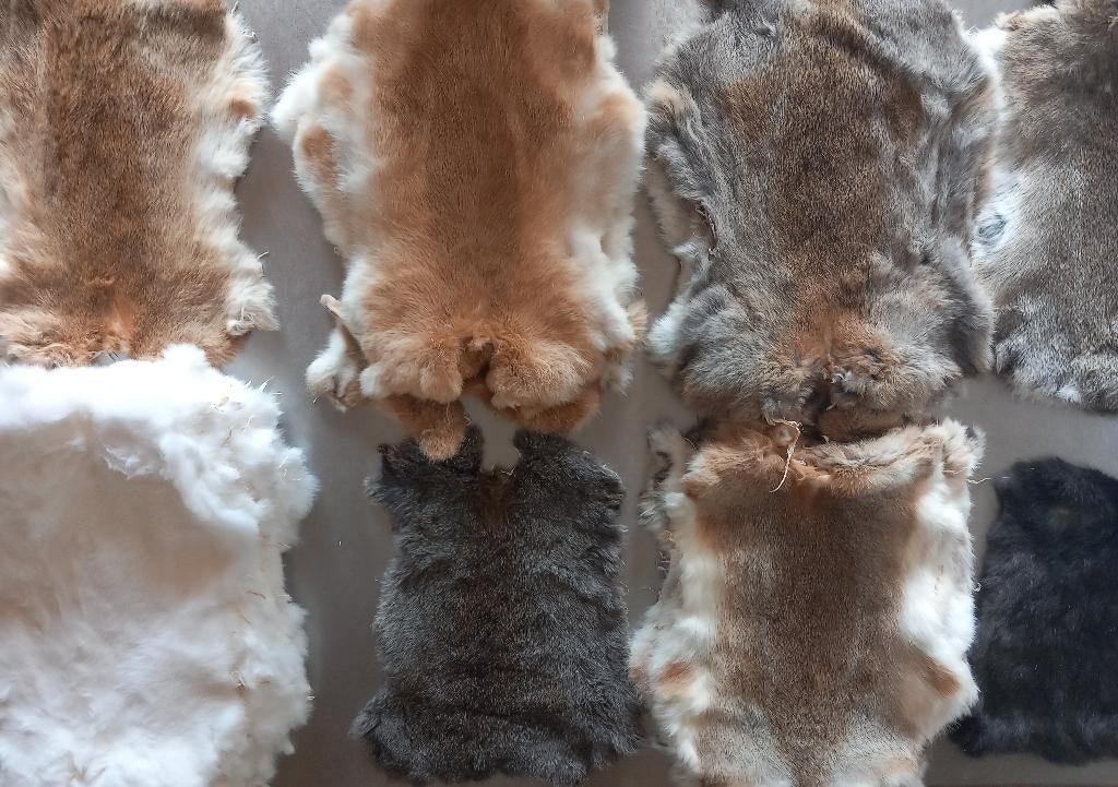Peaux d'animaux, Enlèvement ou Envoi, Neuf, Crème