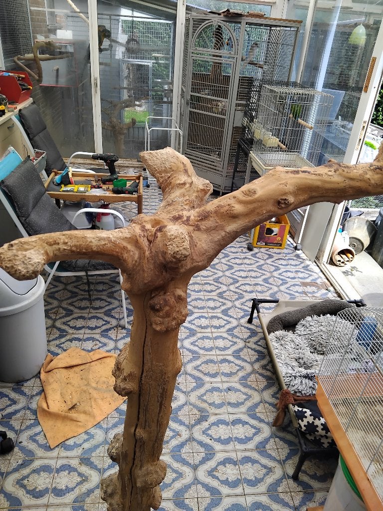 Arbre de Java, Animaux & Accessoires, Enlèvement, Utilisé, Bois, Autres types