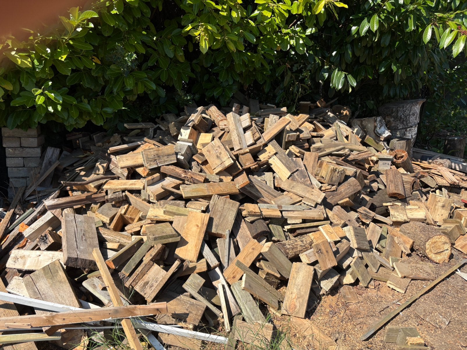 bois de chauffage, 3 à 6 m³, Enlèvement, Bouleau, Bûches