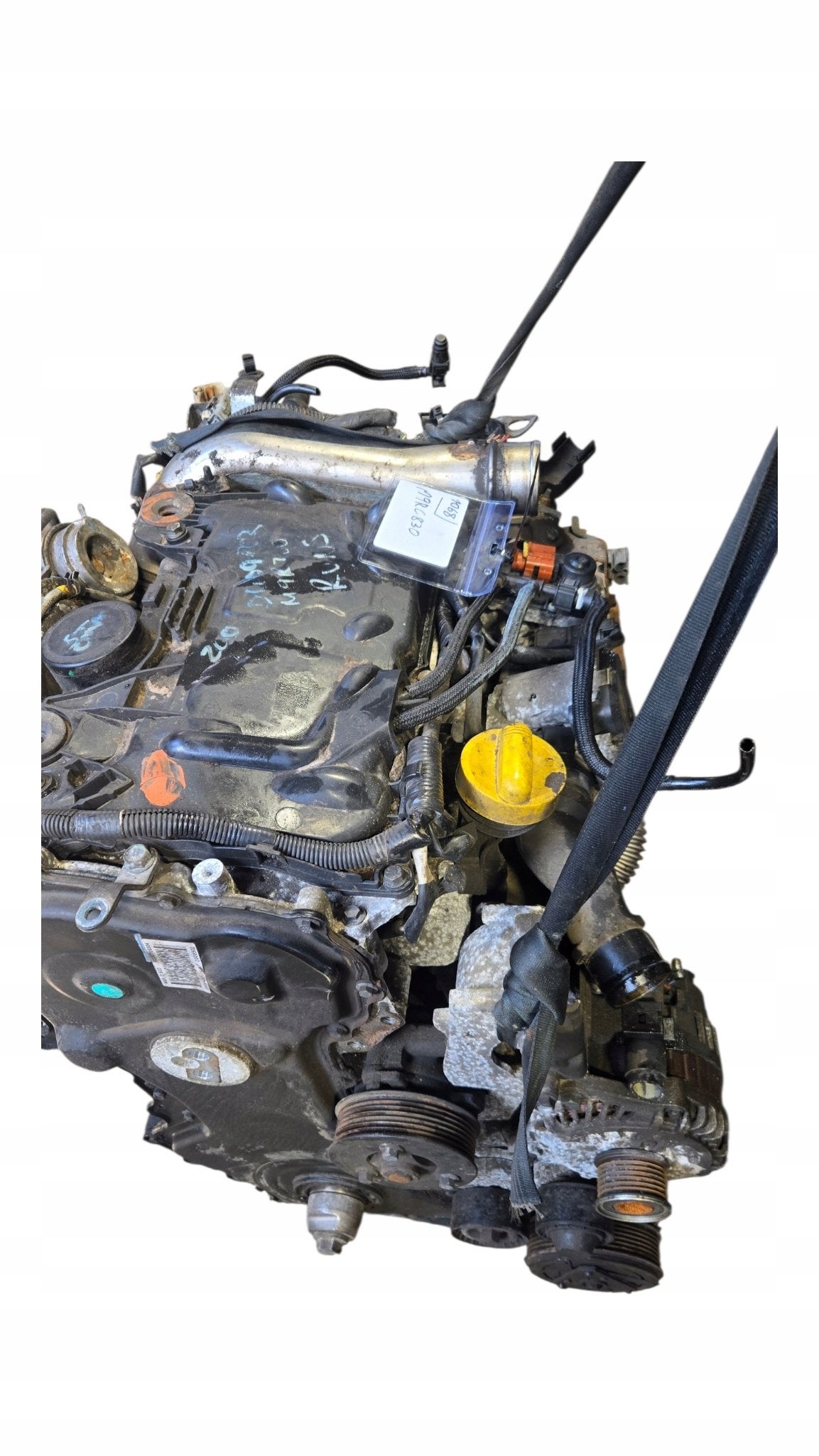 Moteur M9R830 Complet RENAULT KOLEOS