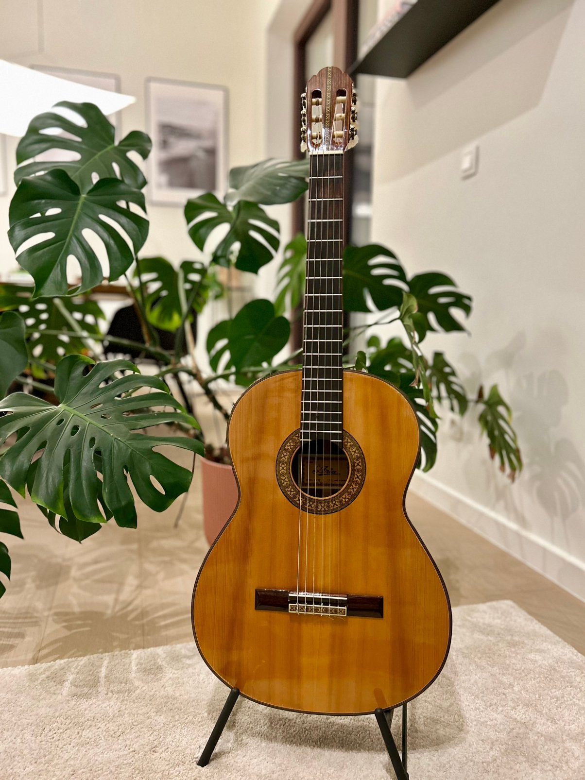 Aria A588 Klassieke gitaar inclusief koffer, Muziek en Instrumenten, Snaarinstrumenten | Gitaren | Akoestisch, Ophalen, Zo goed als nieuw