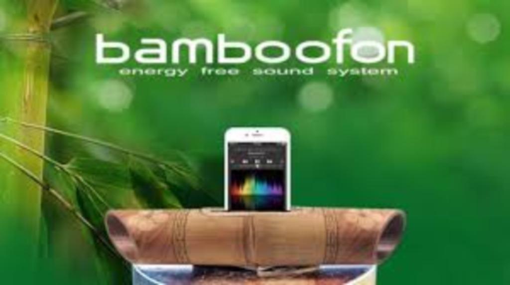 LOT DE BAMBOOFOON, Enlèvement