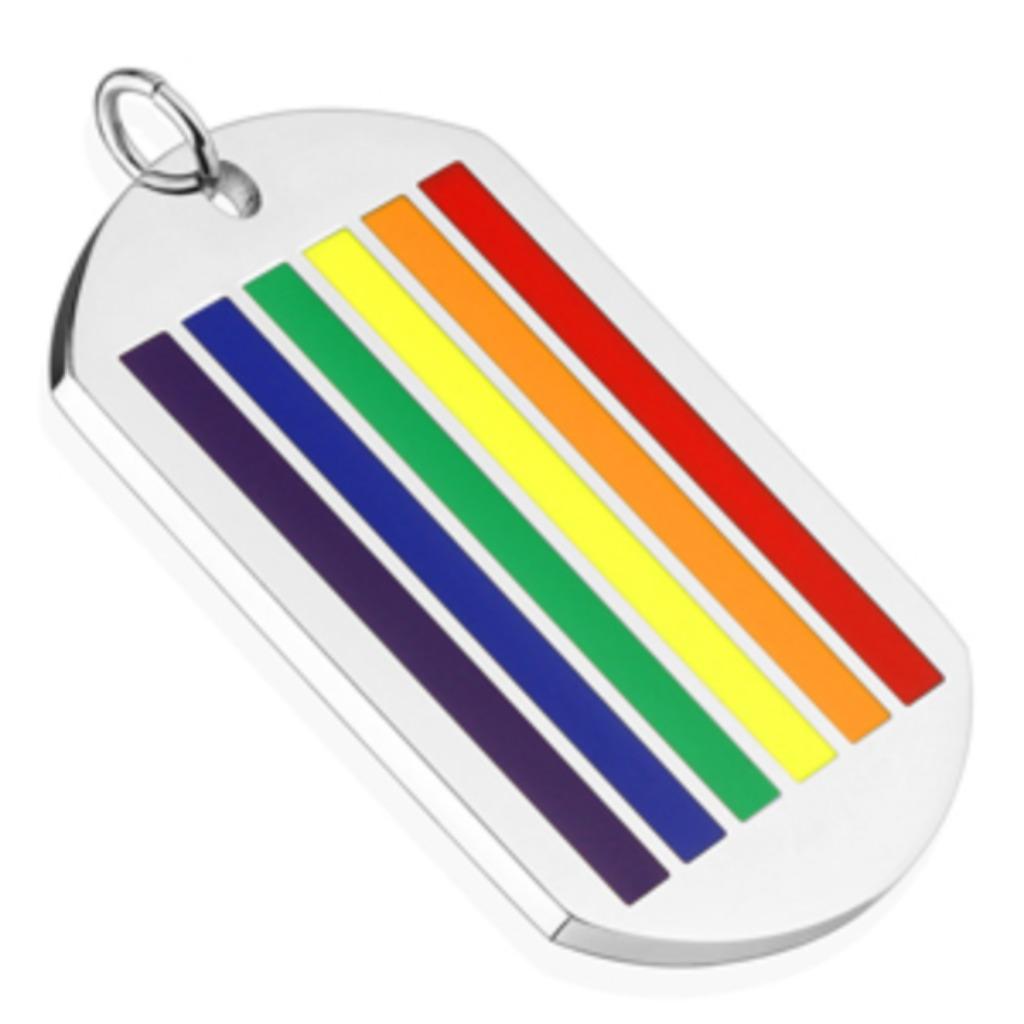 Pendentif arc-en-ciel pour chien en acier inoxydable, Enlèvement ou Envoi, Neuf