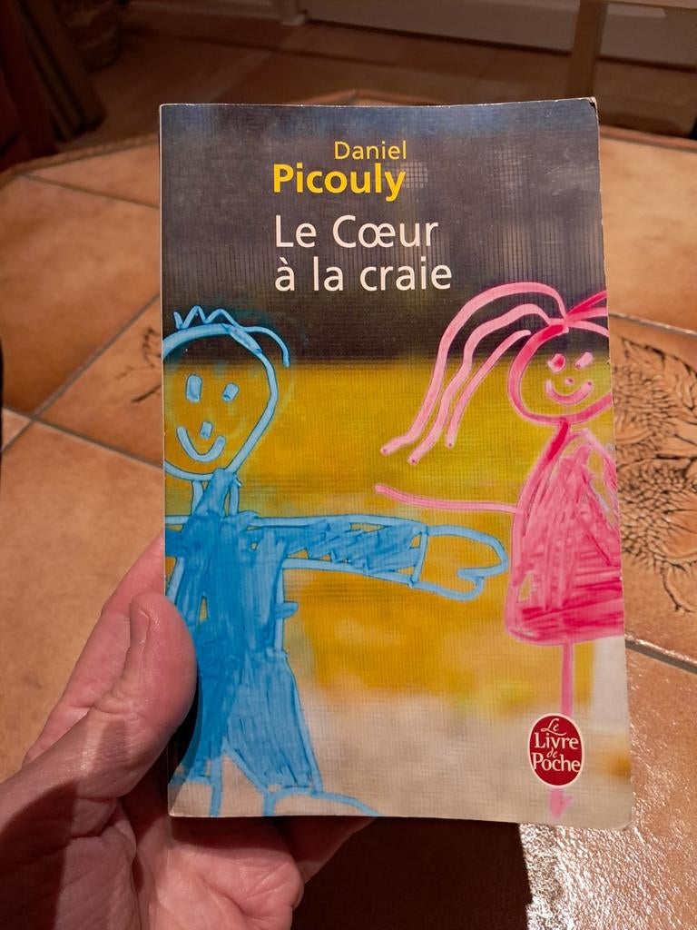 Het hart in krijt - D.Picouly, Boeken, Romans, Gelezen, Ophalen of Verzenden