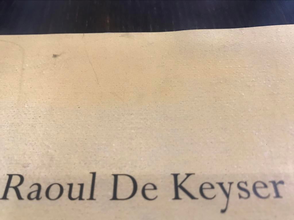 Raoul De Keyser schilderijen 90pag, Ophalen of Verzenden, Zo goed als nieuw, Schilder- en Tekenkunst
