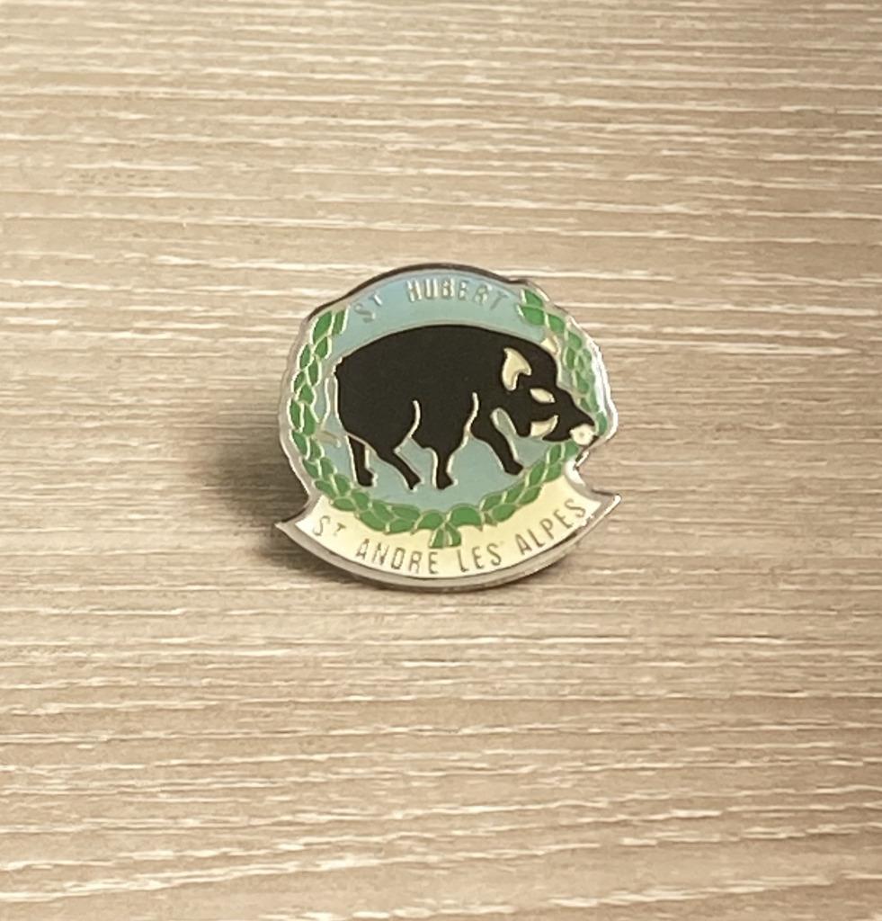 PIN - ST ANDRE LES ALPES - FRANCE - ST HUBERT - SANGLIER, Envoi, Utilisé, Ville ou Campagne, Insigne ou Pin's