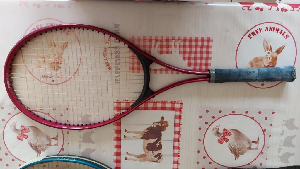 raquette André Agassi 500, Ophalen of Verzenden, Gebruikt, Racket