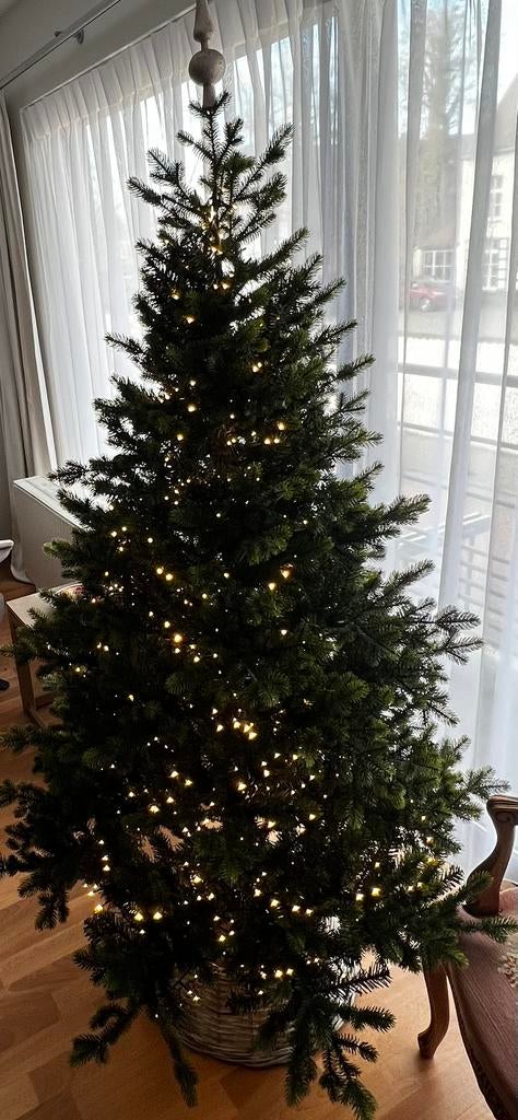 Kerstboom, Ophalen, Nieuw