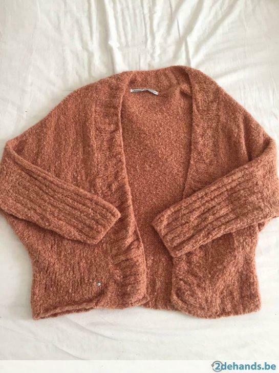 Koraal kleurige cardigan LNKNITS, Nieuw