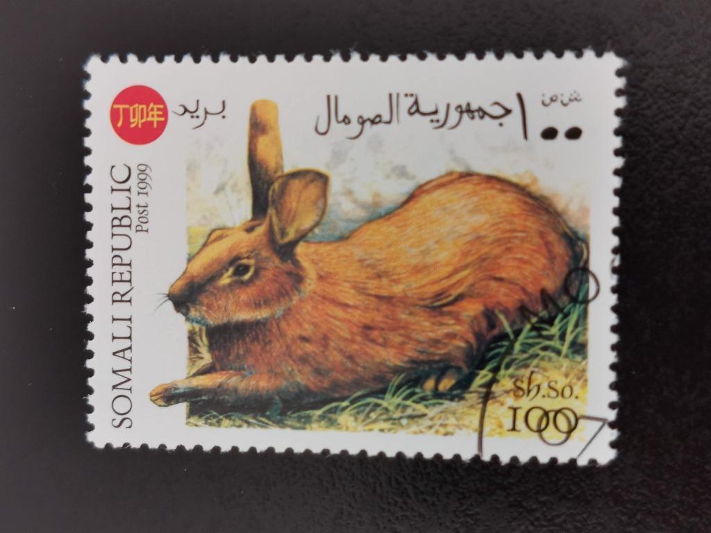 Somalie 1999 - faune - vie sauvage - lièvre, Enlèvement ou Envoi, Autres pays, Affranchi