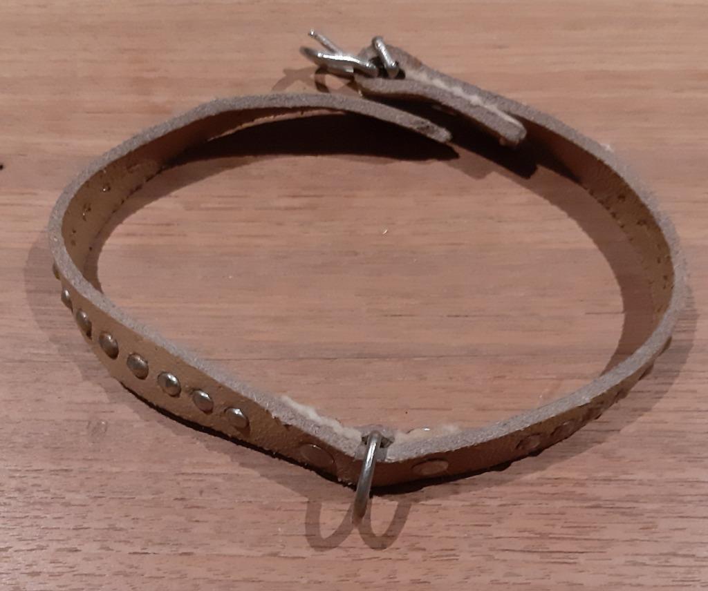 lederen hondenhalsband, Enlèvement ou Envoi, Neuf