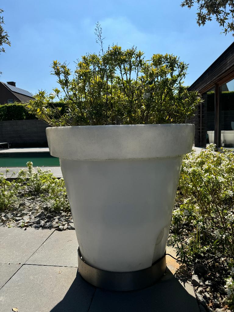 Pot de fleurs LED BLANC XXL, Jardin & Terrasse, 40 cm ou plus, 70 cm ou plus, Rond, Comme neuf