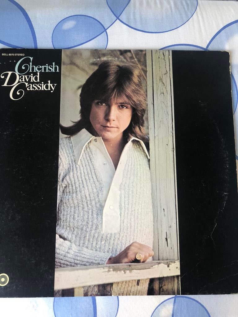 Lp  david cassedy, Ophalen, Zo goed als nieuw