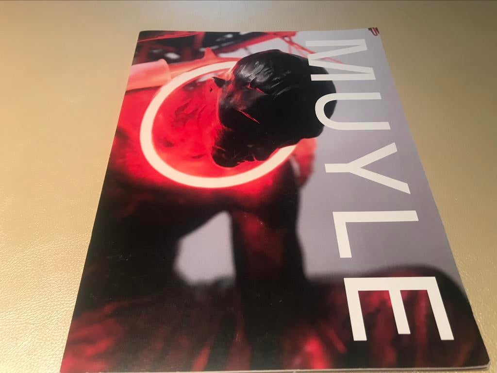 Johan Muyle Sculptures 30pages, Enlèvement ou Envoi, Comme neuf, Sculpture