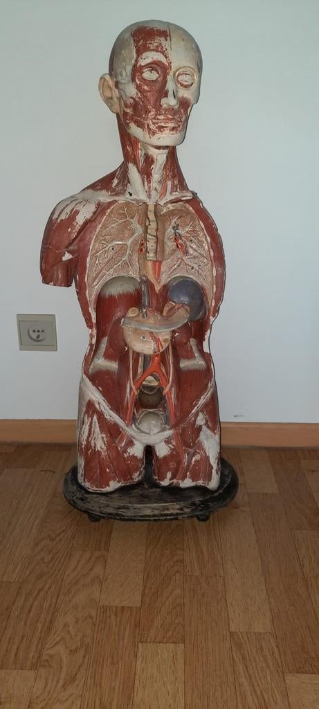 Antieken torso model, Ophalen