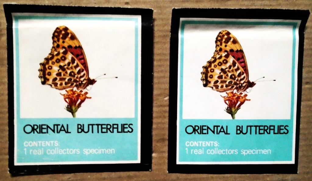 Deux pochettes "Papillons orientaux" - Séchées au soleil, Collections, Enlèvement ou Envoi, Comme neuf, Insecte, Autres types