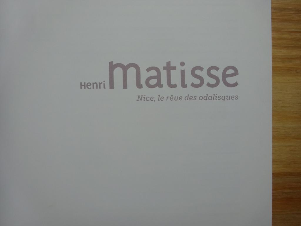 Henri Matisse, Nice, le rêve des odalisques, 2014, Ophalen of Verzenden, Zo goed als nieuw, Schilder- en Tekenkunst