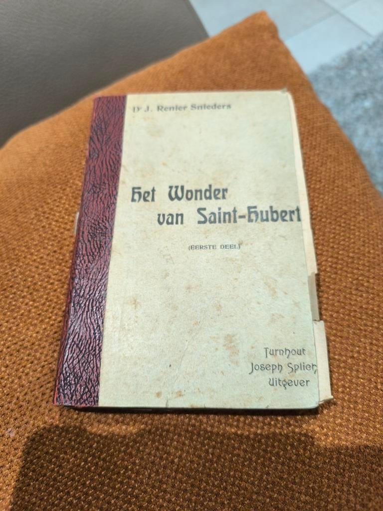 Het wonder van St Hubert uit mijn dagboek, Antiek en Kunst, Ophalen of Verzenden