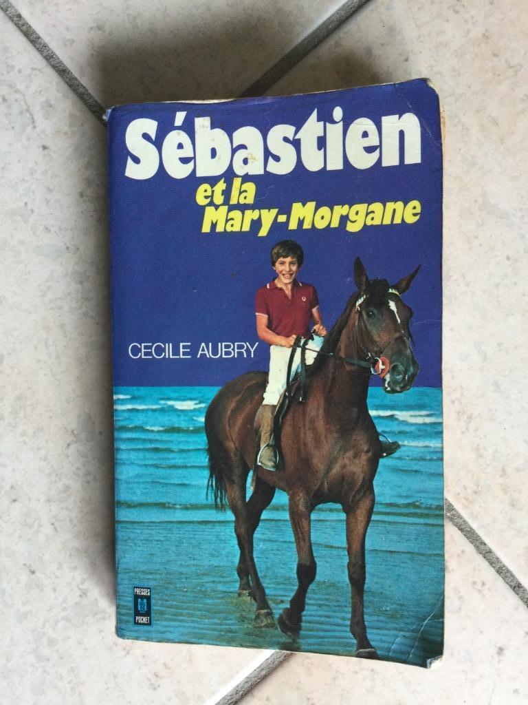 SEBASTIEN&LA MARY- MORGANE/CECILE AUBRY+LIVRE GRATUIT, Antiquités & Art, Enlèvement ou Envoi, CECILE AUBRY