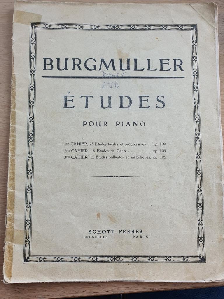 Burgmuller études pour piano, Classique, Utilisé, Piano, Leçon ou Cours