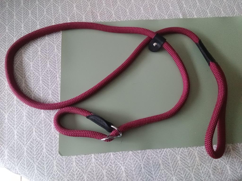 Leiband hond, Dieren en Toebehoren, Ophalen, Nieuw, Hondenriem
