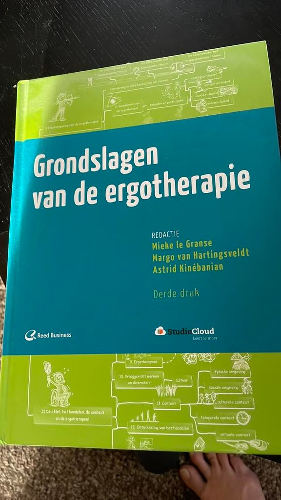 Grondslagen van de ergotherapie, Boeken, Studieboeken en Cursussen, Ophalen of Verzenden, Zo goed als nieuw