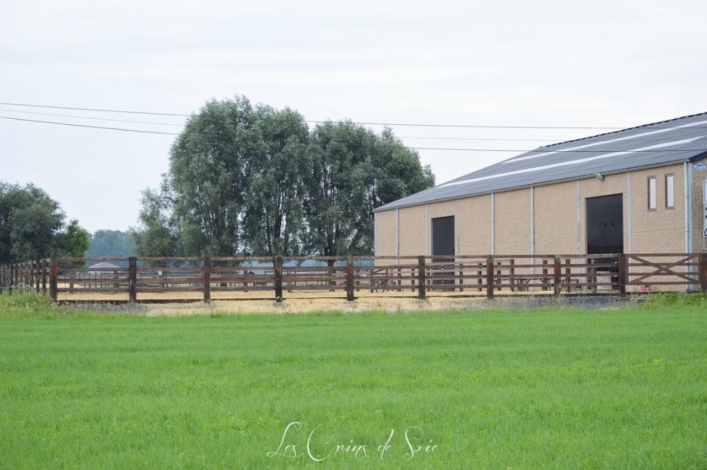 Pension chevaux région Brugelette/Ath, Enlèvement
