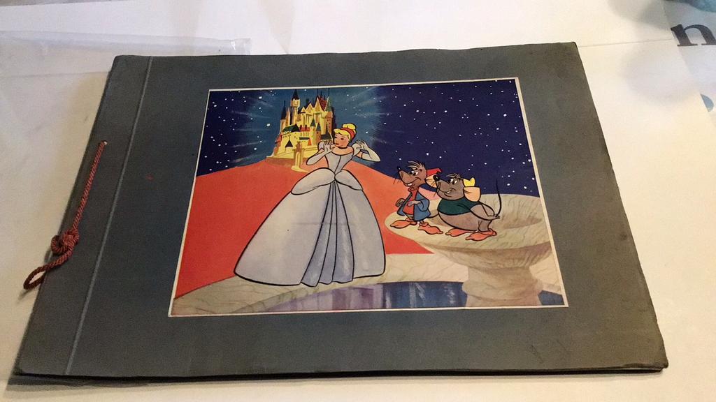 Cendrillon (A), Enlèvement ou Envoi, Cendrillon ou Belle, Utilisé, Autres types