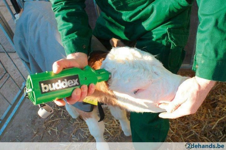 Onthoornapparaat op accu en gas, Agrodieren de beste prijs, Ophalen of Verzenden, Veehouderij, Overige typen