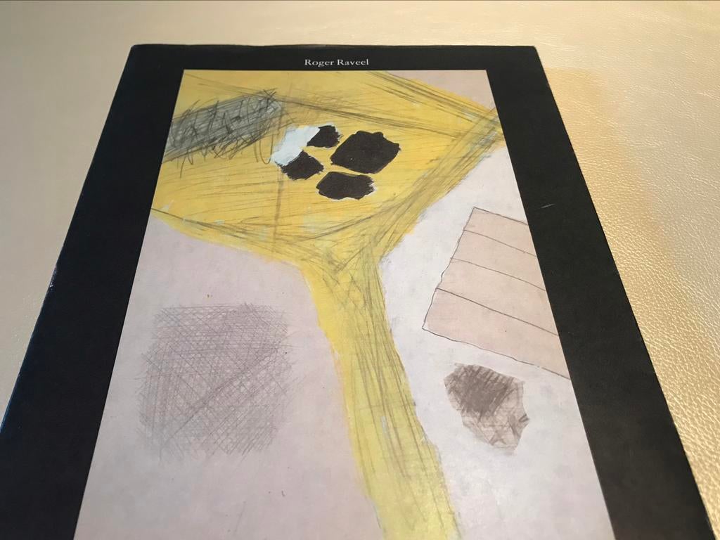 Roger Raveel Tekeningen 100pag, Boeken, Ophalen of Verzenden, Zo goed als nieuw, Schilder- en Tekenkunst