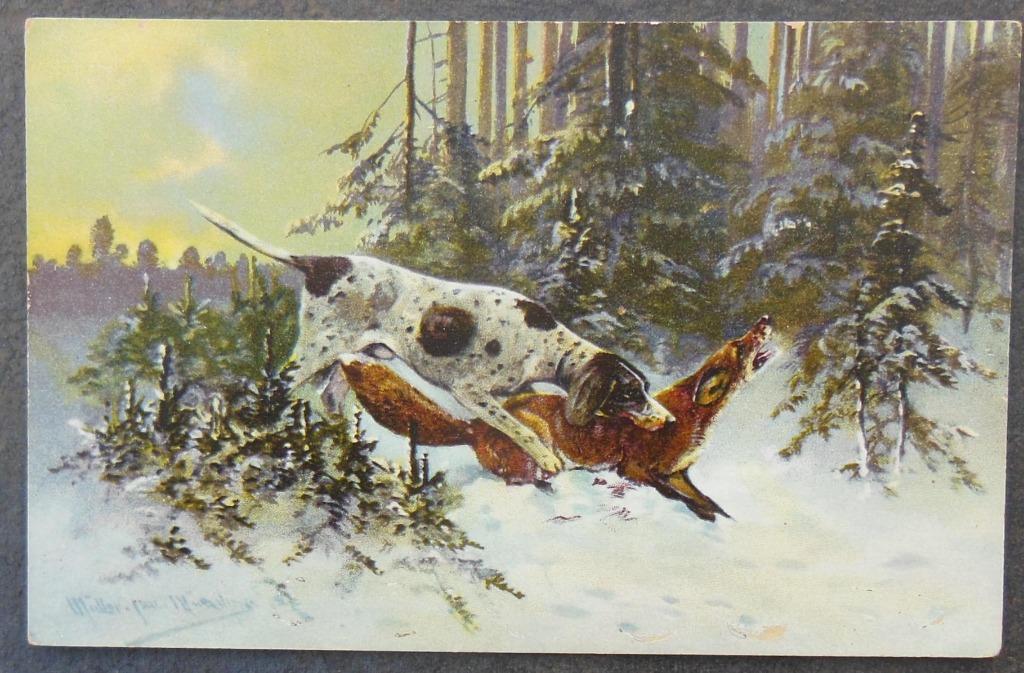 Scène de chasse Carte postale 1900, Verzamelen, Postkaarten | Dieren, Ophalen of Verzenden, 1920 tot 1940, Ongelopen, Wild dier