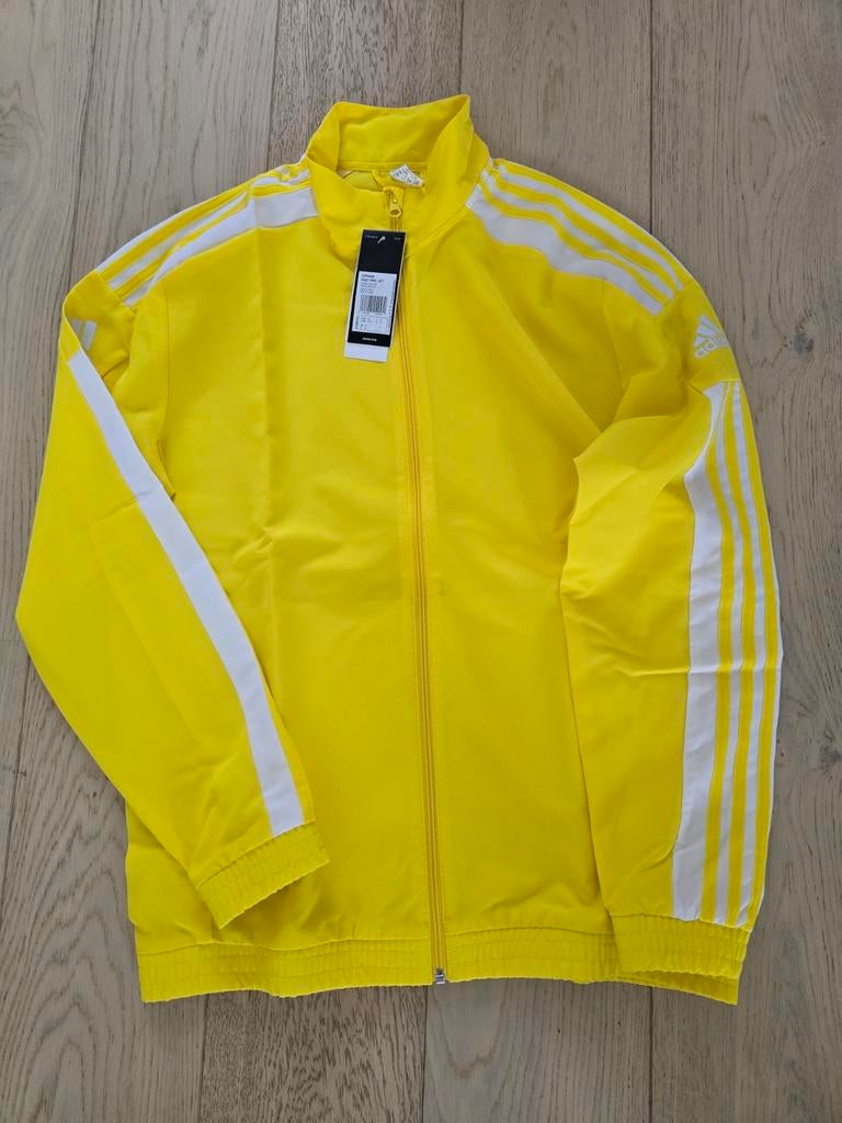 Adidas Squadra 21 trainingsjack M, Kleding | Heren, Geel, Nieuw, ADIDAS, Voetbal