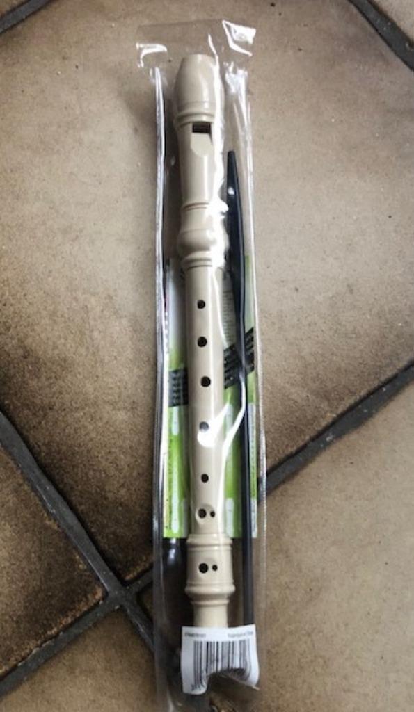 blokfluit soprano in kunsstof in etui = NIEUW !, Ophalen of Verzenden, Nieuw, Sopraan of Sopranino, Met koffer, hoes of etui