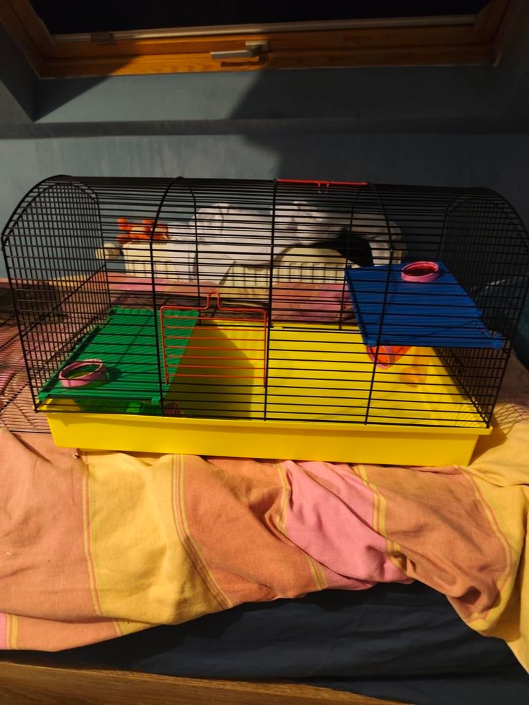 Cage Hamster ou autre, Enlèvement, Cage, Hamster