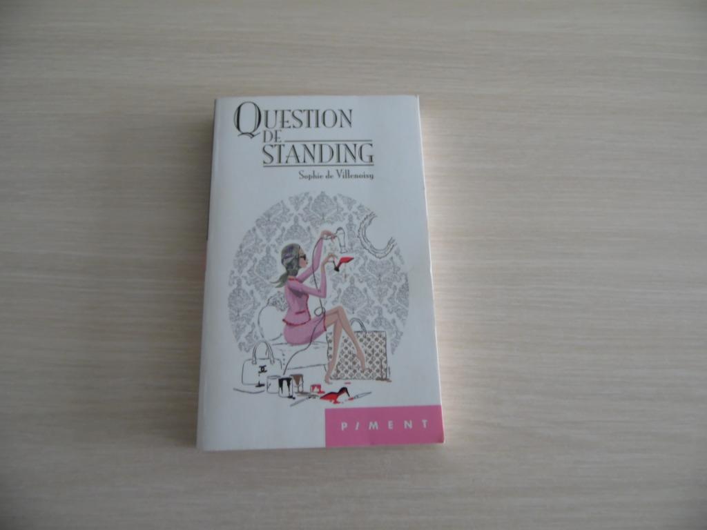 QUESTION DE STANDING     SOPHIE  DE VILLENOISY, Livres, Enlèvement ou Envoi, Comme neuf, Sophie de Villenoisy, Europe autre