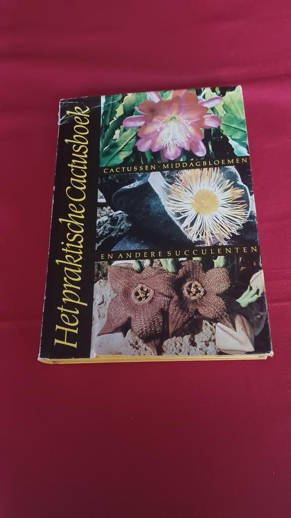 Het praktische cactusboek in kleuren, Gelezen, Walther Haage, Ophalen of Verzenden, Overige onderwerpen
