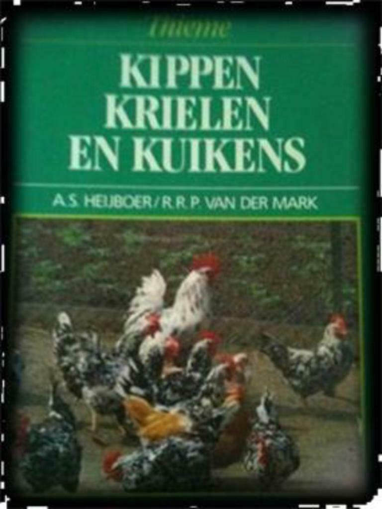 Kippen krielen en kuikens, Enlèvement ou Envoi, Utilisé, Oiseaux