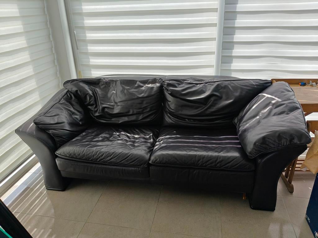 Leder 2-zit zetel (gratis!), Ophalen, Gebruikt, Leer
