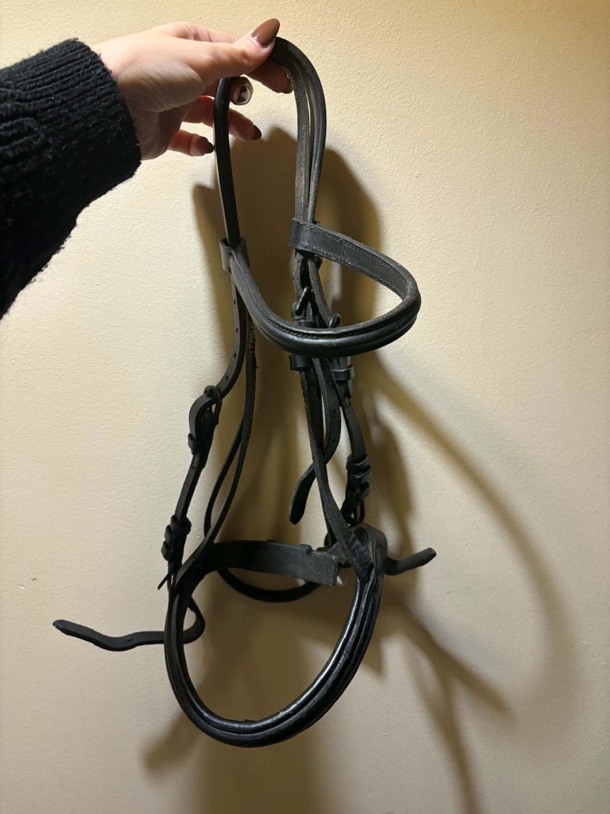 Bridon cuir pour poney Shetland, Animaux & Accessoires, Enlèvement, Neuf, Shetland