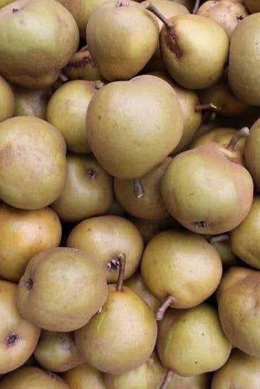 Jefkes peren, Diversen, Levensmiddelen, Ophalen
