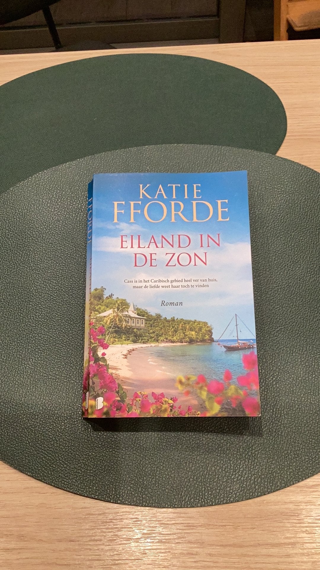 Katie Fforde - Eiland in de zon, Ophalen of Verzenden, Katie Fforde
