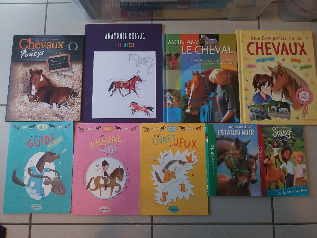 Lot de livres Chevaux, Boeken, Dieren en Huisdieren, Ophalen, Gelezen, Paarden of Pony's