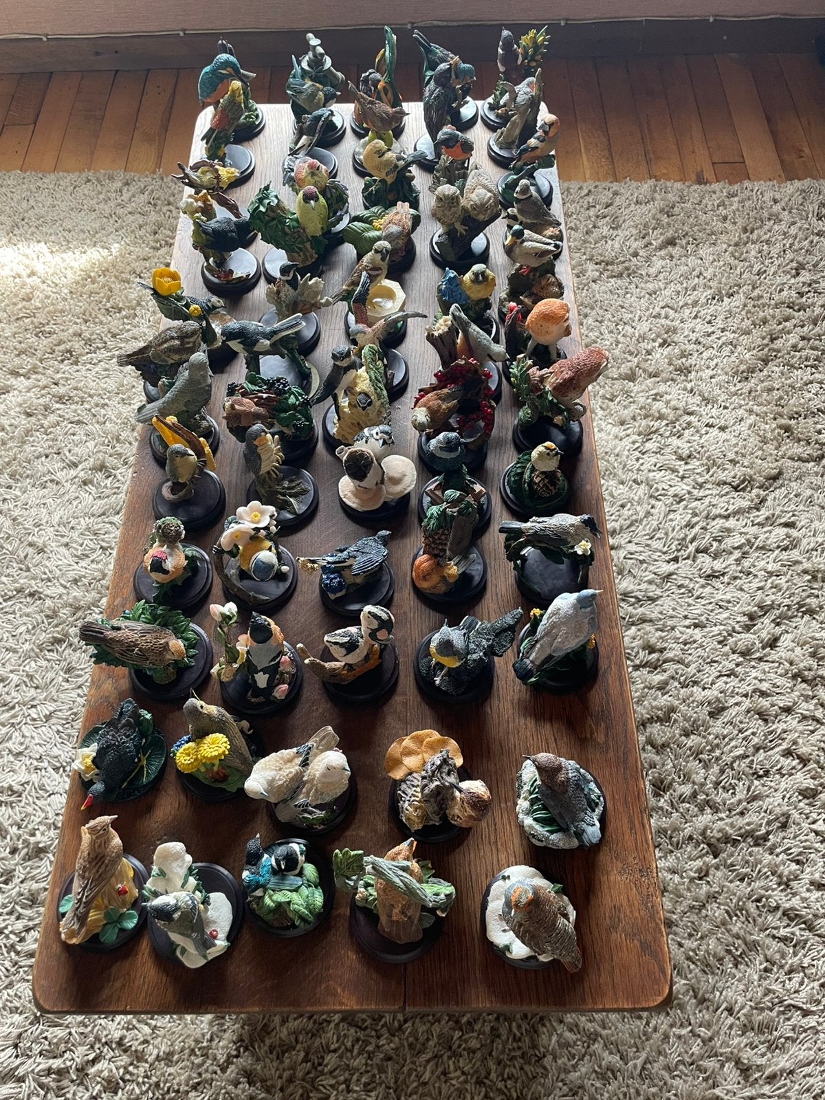 Complete verzameling vogelbeeldjes 60 stuks, Livres, Nature, Enlèvement, Comme neuf