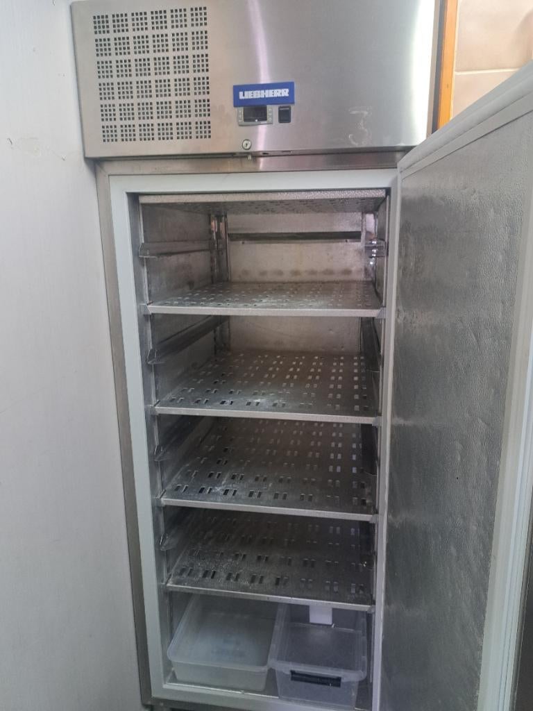 Diepvries liebherr, Enlèvement, Utilisé, Autoportant, Congélateur